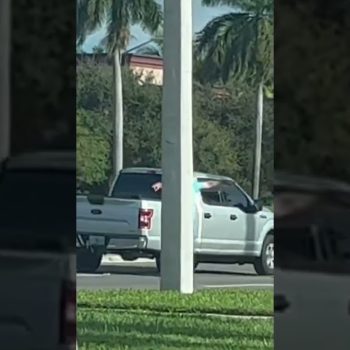 Florida Man Gets Triggered!