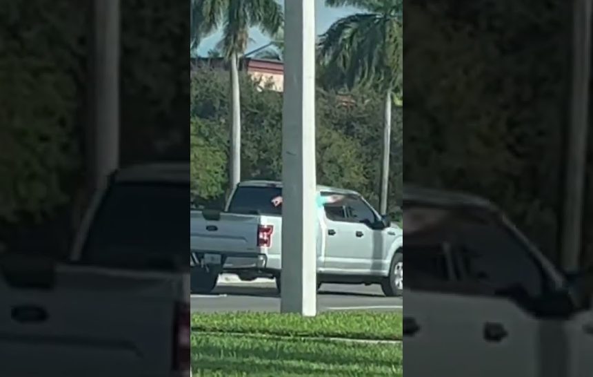 1673061148_maxresdefault.jpg Florida Man Gets Triggered!