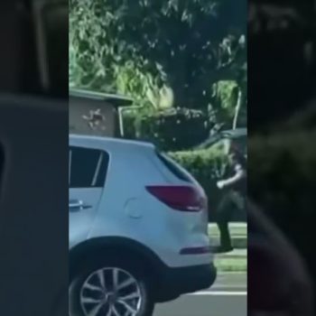 Florida Man Evades West Palm Beach Police! ￼