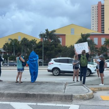 Live  Riviera Beach Fl