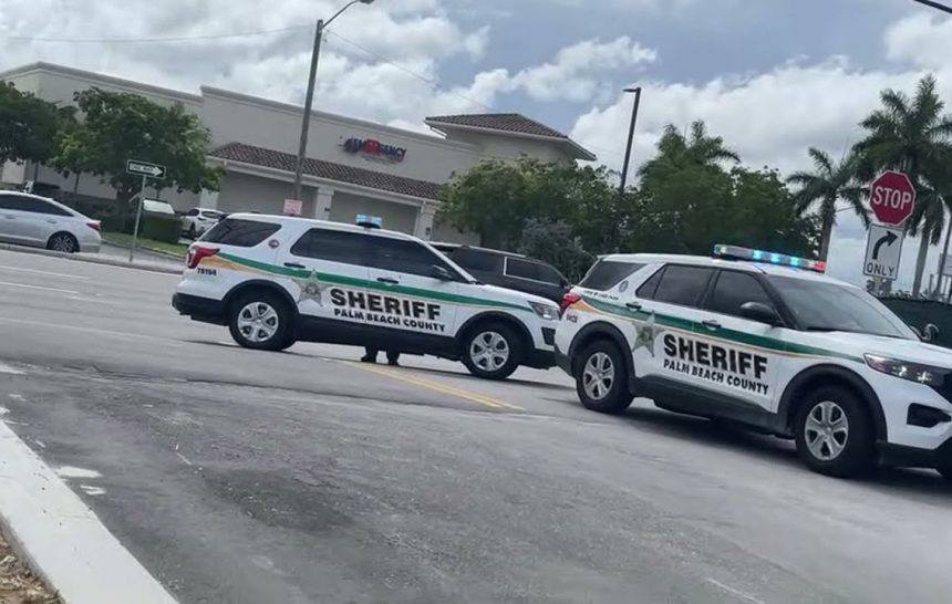 Camera’s Make Them Run!