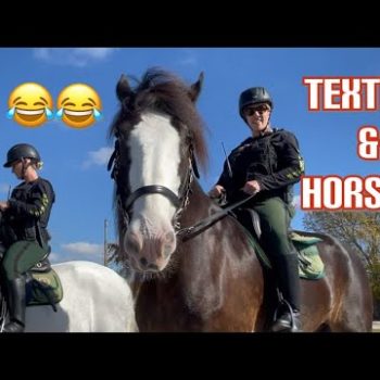 1683442649_hqdefault.jpg Deputies Horsing Around!!!
