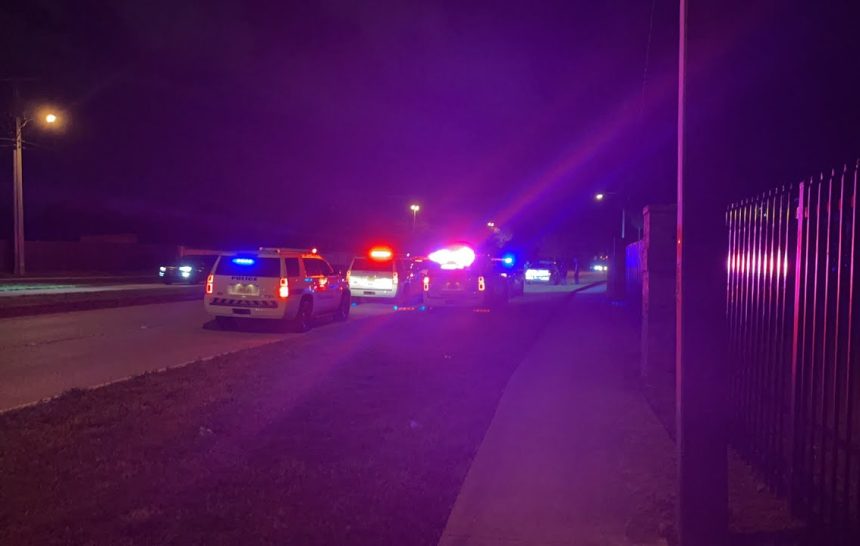 American Amy Arrested