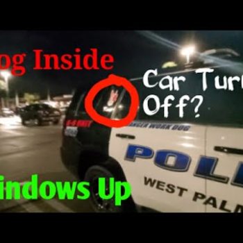 No One Wins In This Situation!