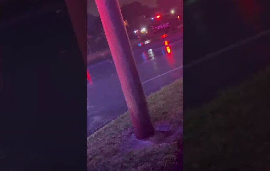 1693962973_maxresdefault.jpg This is why the pizza never arrived