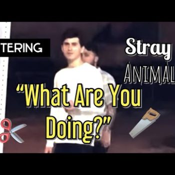 Sergeant Said I Couldn’t Film There, So We Went Back And Did Just That! First Amendment Audit