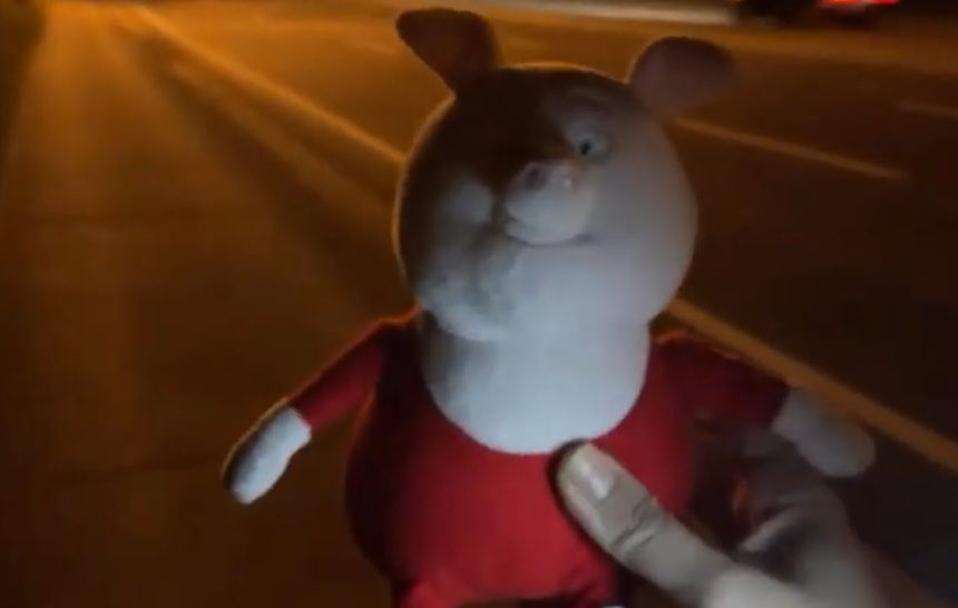 Traffic Stop For Window Tint! PBSO Strikes Again!