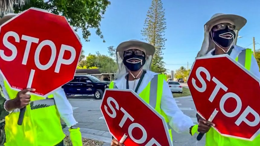 1763845973_maxresdefault.jpg Peeping Tammy Crossing Guard Trespassed On My Property, Looked Through My Windows For This!!