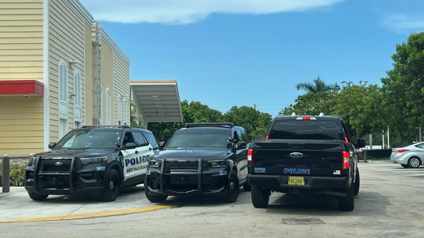 Officers Set Up A P****T**N Sting!