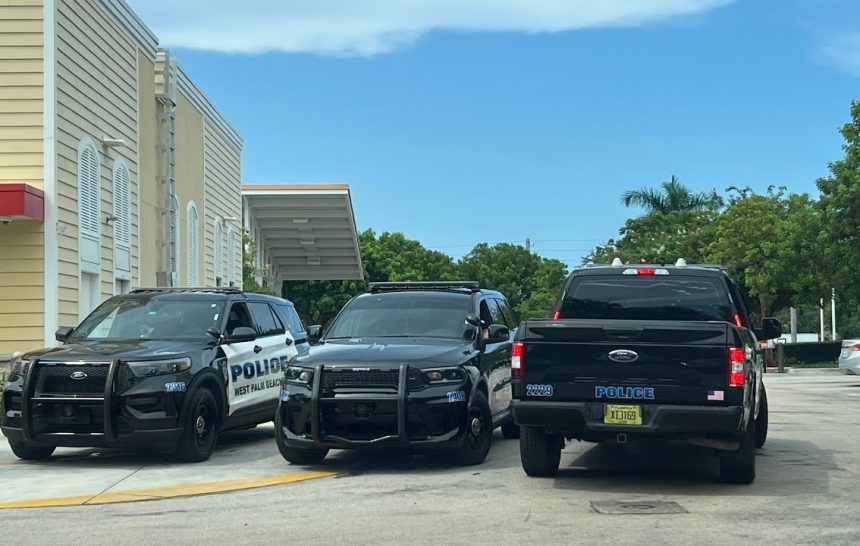 Officers Set Up A P****T**N Sting!